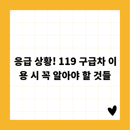 응급 상황! 119 구급차 이용 시 꼭 알아야 할 것들
