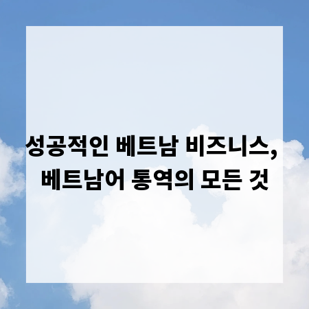성공적인 베트남 비즈니스, 베트남어 통역의 모든 것