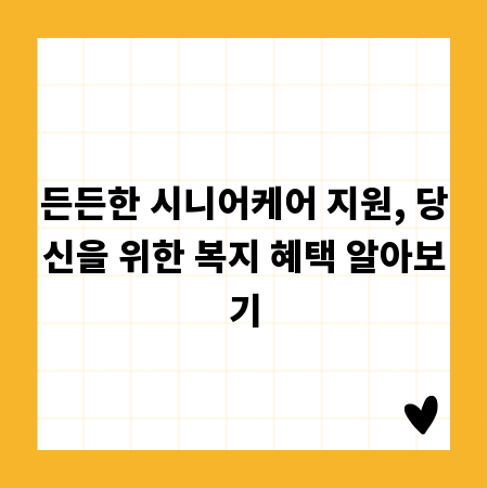 든든한 시니어케어 지원, 당신을 위한 복지 혜택 알아보기