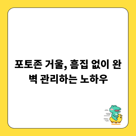 포토존 거울, 흠집 없이 완벽 관리하는 노하우