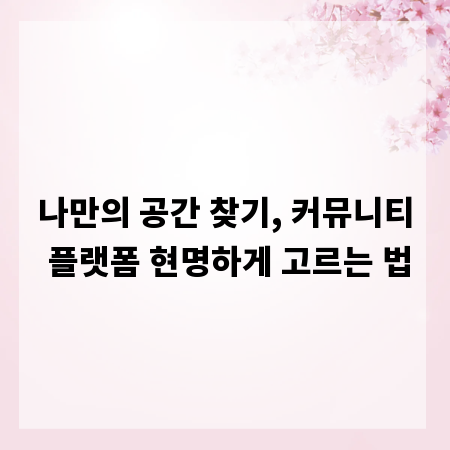 나만의 공간 찾기, 커뮤니티 플랫폼 현명하게 고르는 법