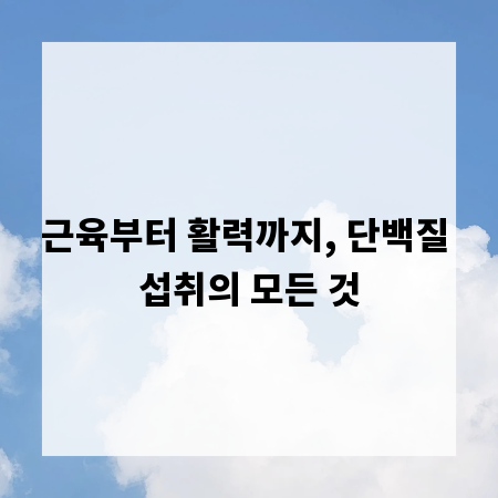 근육부터 활력까지, 단백질 섭취의 모든 것