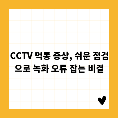 CCTV 먹통 증상, 쉬운 점검으로 녹화 오류 잡는 비결