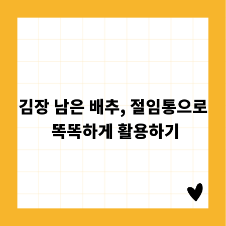김장 남은 배추, 절임통으로 똑똑하게 활용하기