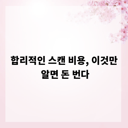 합리적인 스캔 비용, 이것만 알면 돈 번다