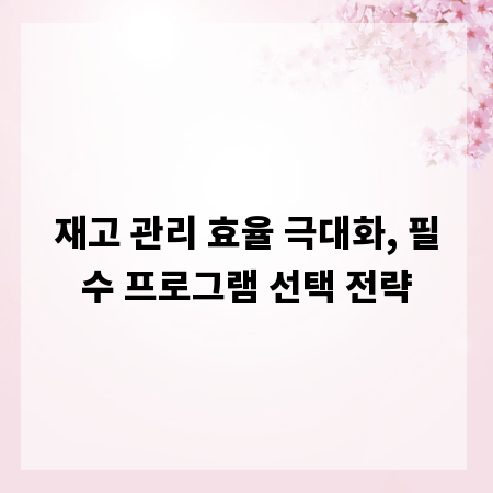 재고 관리 효율 극대화, 필수 프로그램 선택 전략