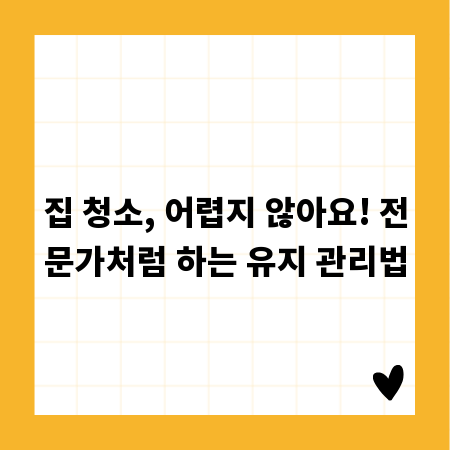 집 청소, 어렵지 않아요! 전문가처럼 하는 유지 관리법
