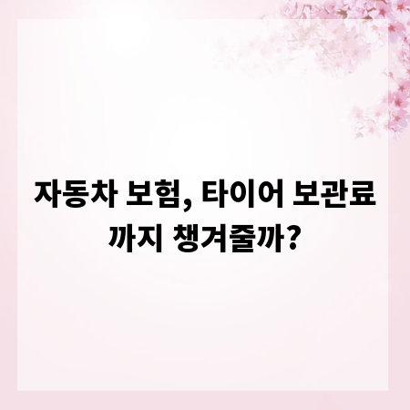 자동차 보험, 타이어 보관료까지 챙겨줄까?