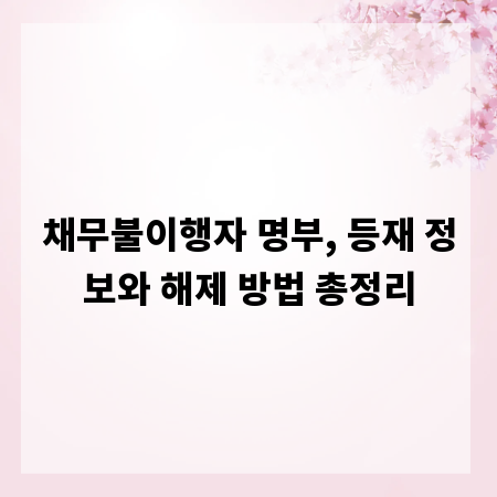 채무불이행자 명부, 등재 정보와 해제 방법 총정리