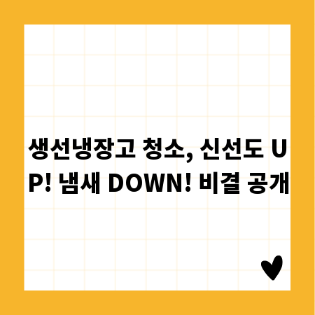 생선냉장고 청소, 신선도 UP! 냄새 DOWN! 비결 공개