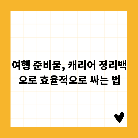 여행 준비물, 캐리어 정리백으로 효율적으로 싸는 법