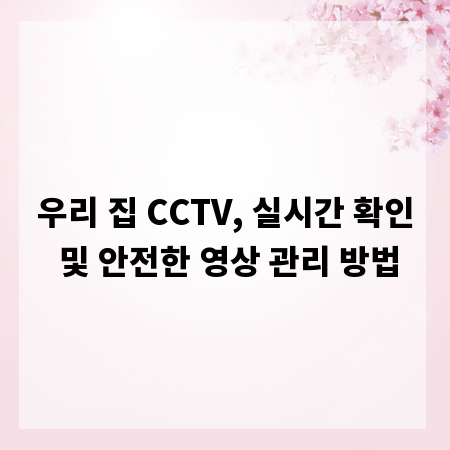 우리 집 CCTV, 실시간 확인 및 안전한 영상 관리 방법