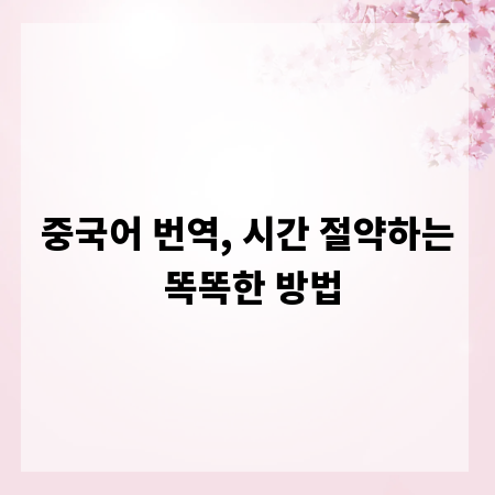중국어 번역, 시간 절약하는 똑똑한 방법