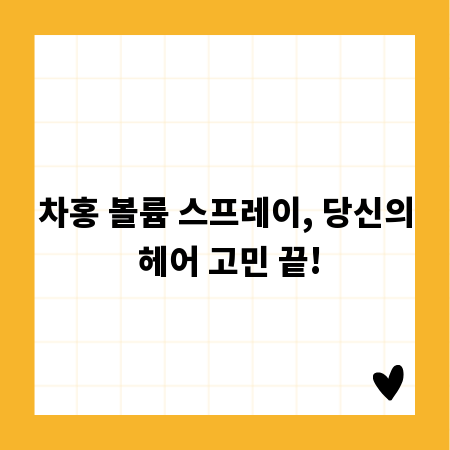 차홍 볼륨 스프레이, 당신의 헤어 고민 끝!