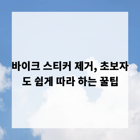 바이크 스티커 제거, 초보자도 쉽게 따라 하는 꿀팁