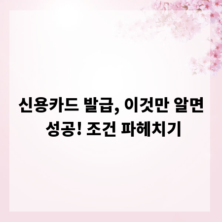 신용카드 발급, 이것만 알면 성공! 조건 파헤치기