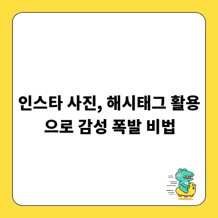 인스타 사진, 해시태그 활용으로 감성 폭발 비법