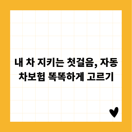 내 차 지키는 첫걸음, 자동차보험 똑똑하게 고르기
