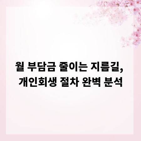 월 부담금 줄이는 지름길, 개인회생 절차 완벽 분석