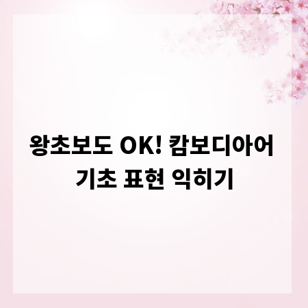 왕초보도 OK! 캄보디아어 기초 표현 익히기