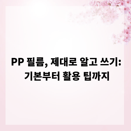 PP 필름, 제대로 알고 쓰기: 기본부터 활용 팁까지