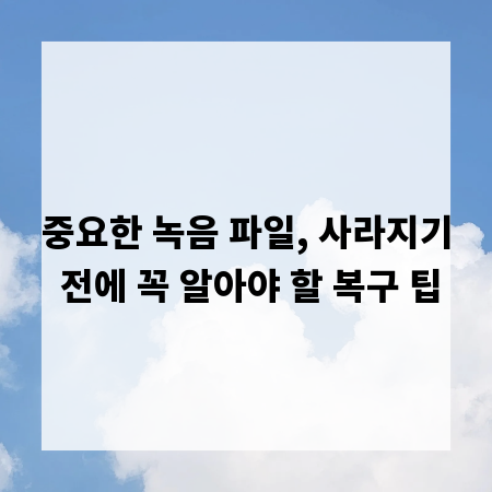 중요한 녹음 파일, 사라지기 전에 꼭 알아야 할 복구 팁