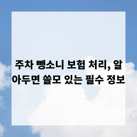 주차 뺑소니 보험 처리, 알아두면 쓸모 있는 필수 정보