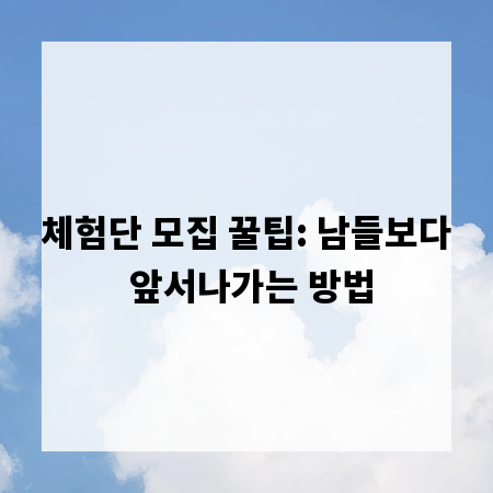 체험단 모집 꿀팁: 남들보다 앞서나가는 방법