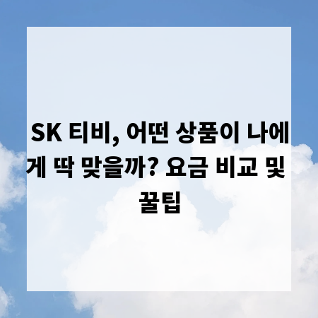 SK 티비, 어떤 상품이 나에게 딱 맞을까? 요금 비교 및 꿀팁
