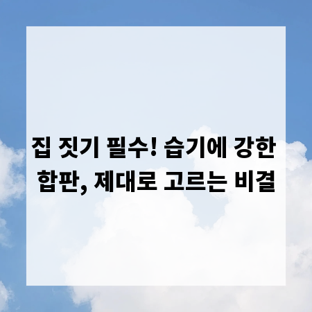 집 짓기 필수! 습기에 강한 합판, 제대로 고르는 비결