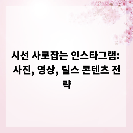 시선 사로잡는 인스타그램: 사진, 영상, 릴스 콘텐츠 전략