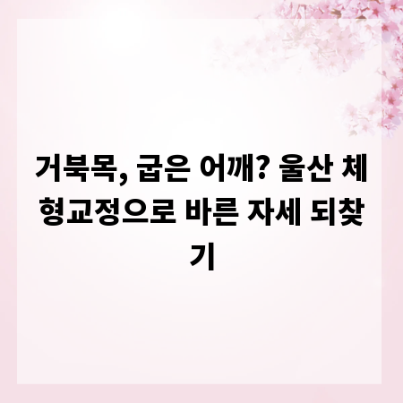 거북목, 굽은 어깨? 울산 체형교정으로 바른 자세 되찾기