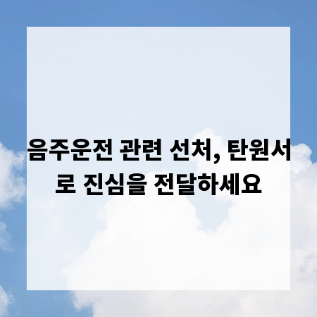 음주운전 관련 선처, 탄원서로 진심을 전달하세요