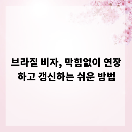 브라질 비자, 막힘없이 연장하고 갱신하는 쉬운 방법