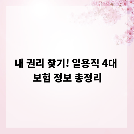 내 권리 찾기! 일용직 4대 보험 정보 총정리