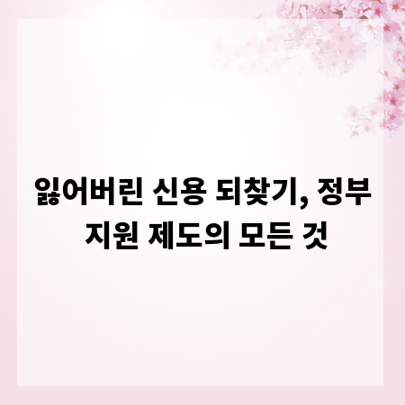 잃어버린 신용 되찾기, 정부 지원 제도의 모든 것