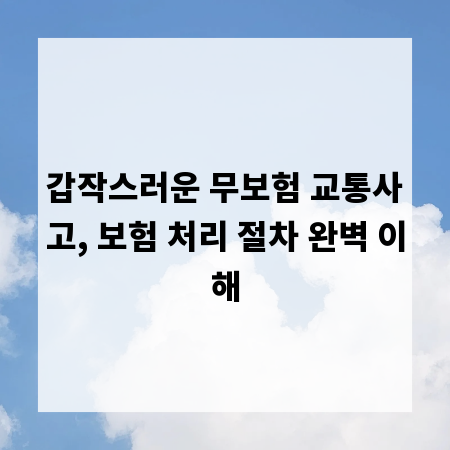 갑작스러운 무보험 교통사고, 보험 처리 절차 완벽 이해