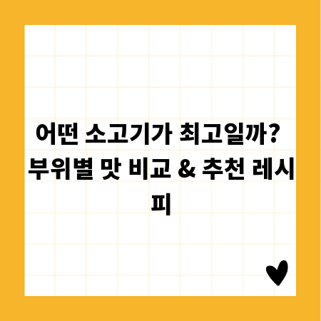 어떤 소고기가 최고일까? 부위별 맛 비교 & 추천 레시피
