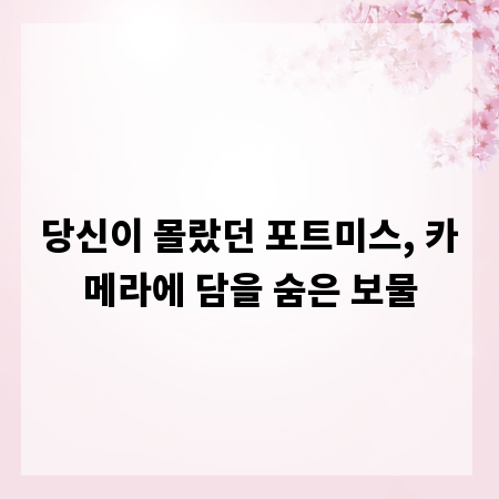 당신이 몰랐던 포트미스, 카메라에 담을 숨은 보물