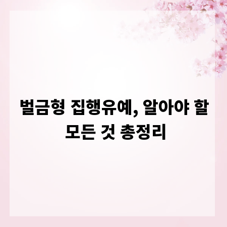 벌금형 집행유예, 알아야 할 모든 것 총정리