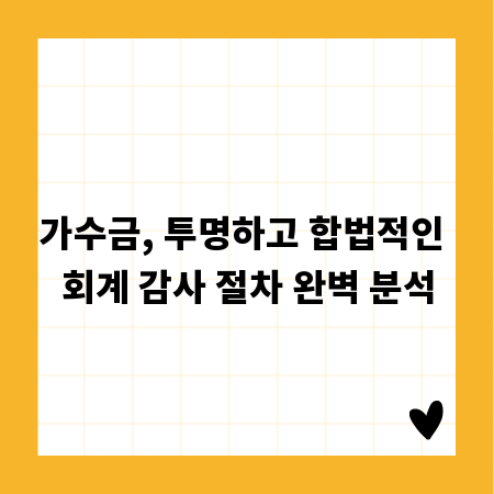 가수금, 투명하고 합법적인 회계 감사 절차 완벽 분석