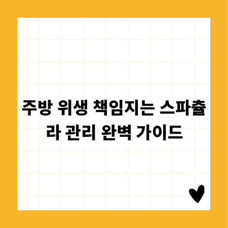 주방 위생 책임지는 스파츌라 관리 완벽 가이드