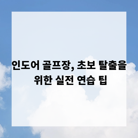 인도어 골프장, 초보 탈출을 위한 실전 연습 팁