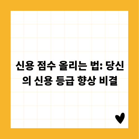 신용 점수 올리는 법: 당신의 신용 등급 향상 비결