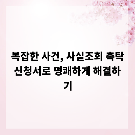 복잡한 사건, 사실조회 촉탁신청서로 명쾌하게 해결하기