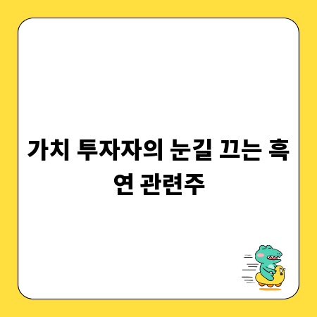 가치 투자자의 눈길 끄는 흑연 관련주