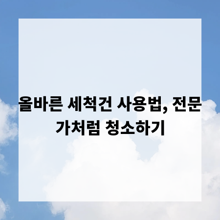 올바른 세척건 사용법, 전문가처럼 청소하기