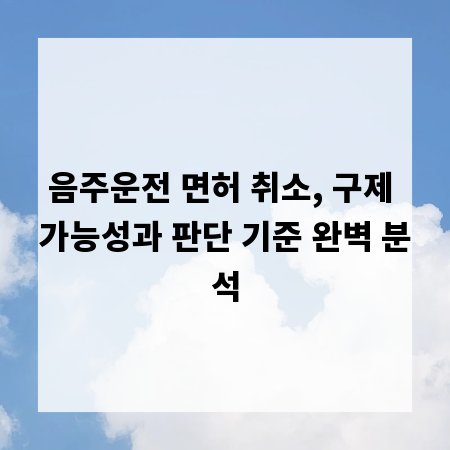 음주운전 면허 취소, 구제 가능성과 판단 기준 완벽 분석