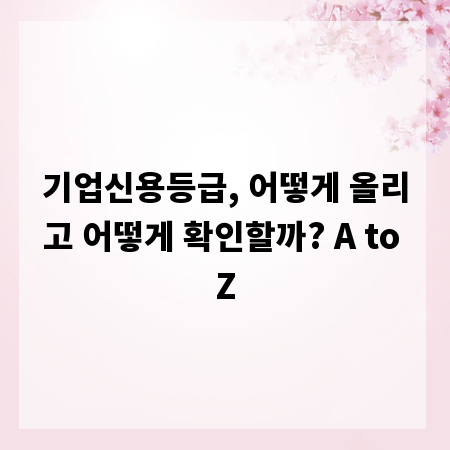 기업신용등급, 어떻게 올리고 어떻게 확인할까? A to Z