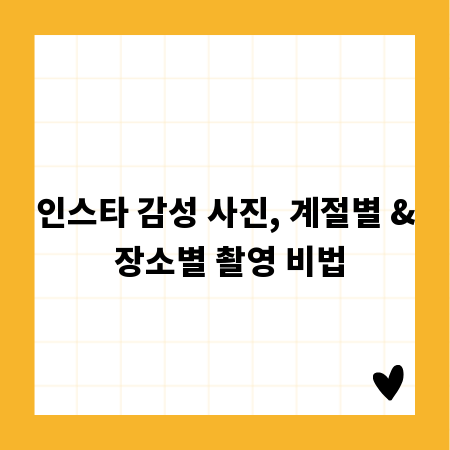 인스타 감성 사진, 계절별 & 장소별 촬영 비법